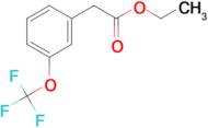 (3-Trifluoromethoxy-phenyl)-acetic acid ethyl ester