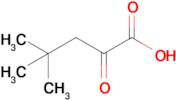 4,4-Dimethyl-2-oxo-pentanoic acid; Neopentylglyoxylic acid