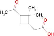 2-((1S,3S)-3-Acetyl-2,2-dimethylcyclobutyl)acetic acid