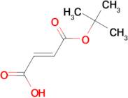 Fumaric acid mono-tert-butyl ester