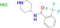 N-(Piperidin-4-yl)-2-(trifluoromethyl)benzamide hydrochloride