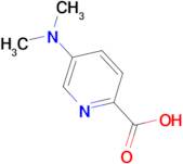 5-(Dimethylamino)picolinic acid