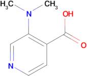 3-(Dimethylamino)isonicotinic acid