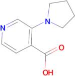 3-(Pyrrolidin-1-yl)isonicotinic acid