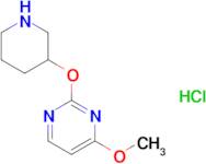 4-Methoxy-2-(piperidin-3-yloxy)pyrimidine hydrochloride