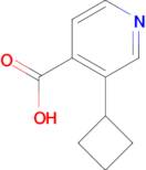 3-Cyclobutylisonicotinic acid