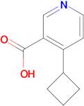4-Cyclobutylnicotinic acid