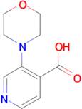 3-Morpholinoisonicotinic acid