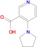 4-(Pyrrolidin-1-yl)nicotinic acid