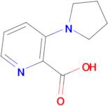 3-(Pyrrolidin-1-yl)picolinic acid