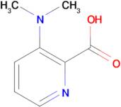 3-(Dimethylamino)picolinic acid