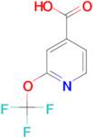 2-(Trifluoromethoxy)isonicotinic acid