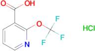 2-(Trifluoromethoxy)nicotinic acid hydrochloride