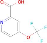 4-(Trifluoromethoxy)picolinic acid