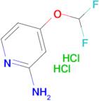 4-(Difluoromethoxy)pyridin-2-amine dihydrochloride