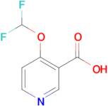 4-(Difluoromethoxy)nicotinic acid