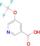 5-(Trifluoromethoxy)nicotinic acid