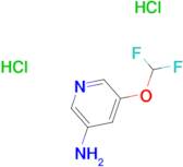 5-(Difluoromethoxy)pyridin-3-amine dihydrochloride
