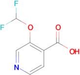 3-(Difluoromethoxy)isonicotinic acid