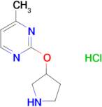 4-Methyl-2-(pyrrolidin-3-yloxy)pyrimidine hydrochloride