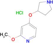 2-Methoxy-4-(pyrrolidin-3-yloxy)pyridinehydrochloride