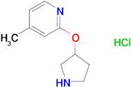 4-Methyl-2-(pyrrolidin-3-yloxy)pyridinehydrochloride