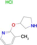 3-Methyl-2-(pyrrolidin-3-yloxy)pyridinehydrochloride