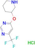 4-(Piperidin-3-yloxy)-6-(trifluoromethyl)pyrimidine hydrochloride