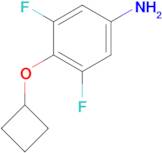 4-Cyclobutoxy-3,5-difluoroaniline