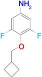 4-(Cyclobutylmethoxy)-3,5-difluoroaniline