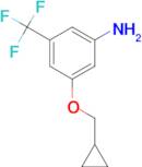 3-(Cyclopropylmethoxy)-5-(trifluoromethyl)aniline