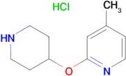 4-Methyl-2-(piperidin-4-yloxy)pyridine hydrochloride