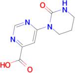 6-[2-Oxo-tetrahydropyrimidin-1(2H)-yl]pyrimidine-4-carboxylic acid