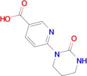 6-[2-Oxo-tetrahydropyrimidin-1(2H)-yl]nicotinic acid