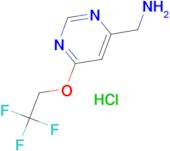 [6-(2,2,2-Trifluoroethoxy)pyrimidin-4-yl]methanamine hydrochloride