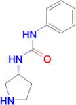 (R)-1-Phenyl-3-(pyrrolidin-3-yl)urea