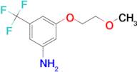 3-(2-Methoxyethoxy)-5-(trifluoromethyl)aniline