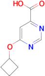 6-Cyclobutoxypyrimidine-4-carboxylic acid