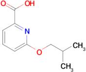 6-Isobutoxypicolinic acid