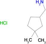 (3,3-Dimethylcyclopentyl)methanamine hydrochloride