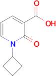 1-Cyclobutyl-2-oxo-1,2-dihydropyridine-3-carboxylic acid