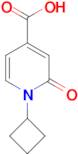 1-Cyclobutyl-2-oxo-1,2-dihydropyridine-4-carboxylic acid