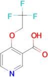 4-(2,2,2-Trifluoroethoxy)pyridine-3-carboxylic acid