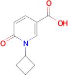 1-Cyclobutyl-6-oxo-1,6-dihydropyridine-3-carboxylic acid