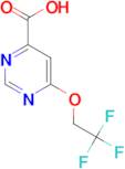 6-(2,2,2-Trifluoroethoxy)pyrimidine-4-carboxylic acid