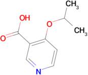 4-(Propan-2-yloxy)pyridine-3-carboxylic acid