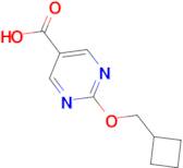 2-(Cyclobutylmethoxy)pyrimidine-5-carboxylic acid