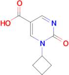 1-Cyclobutyl-2-oxo-1,2-dihydropyrimidine-5-carboxylic acid