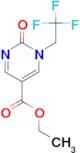 Ethyl 2-oxo-1-(2,2,2-trifluoroethyl)-1,2-dihydropyrimidine-5-carboxylate