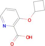 3-Cyclobutoxypyridine-2-carboxylic acid